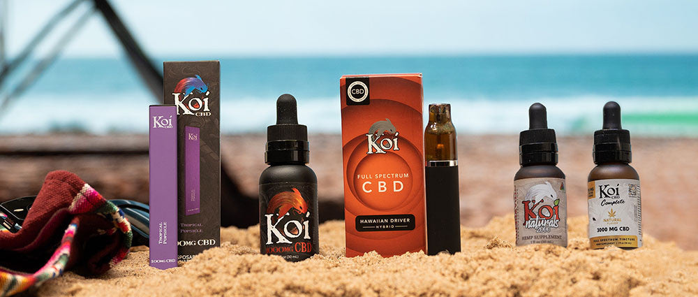 elfbar elfa kaufen Plastic Hemp Oil Vape Liquid Bottles, Marijuana Packaging