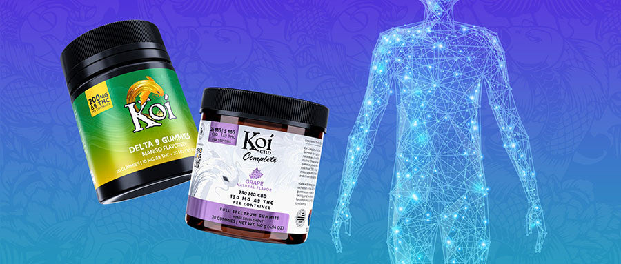 How Long Does Delta 9 Stay in Your System?  Koi CBD