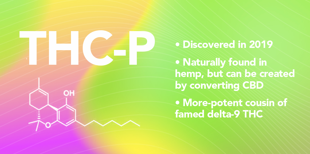what is THC P infographic
