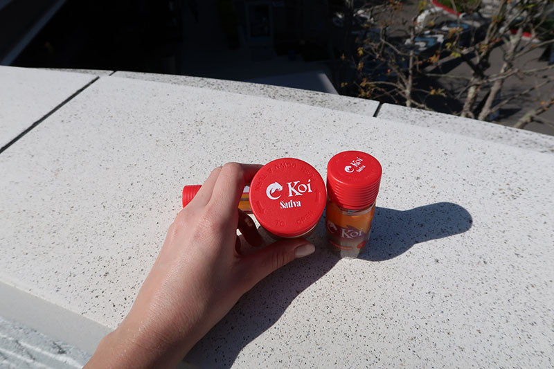 Indica Vs Sativa Vs Hybrid