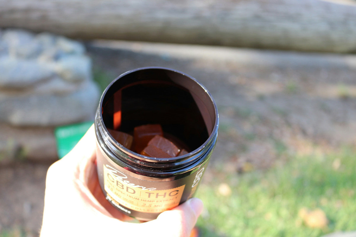 THC Gummies For Beginners: Quick Guide to Weed Gummies For Dummies