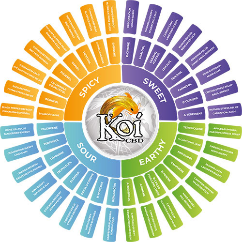 hemp terpenes diagram