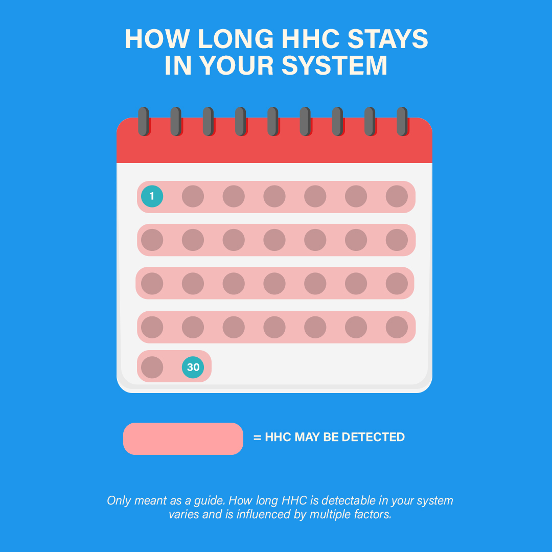 Chart Showing How Long HHC Stays In Your System