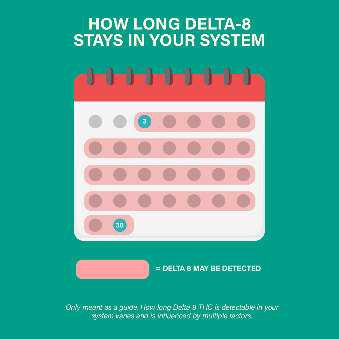 How Long Does Delta 8 Stay In Your System Calendar 